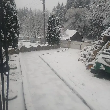 у власія * Putyla