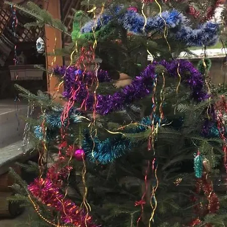 Guest house у власія *