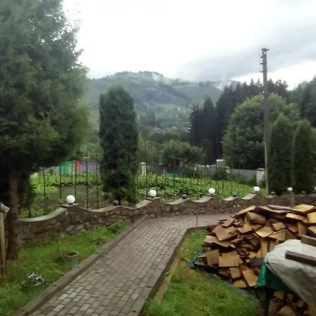 у власія * Putyla