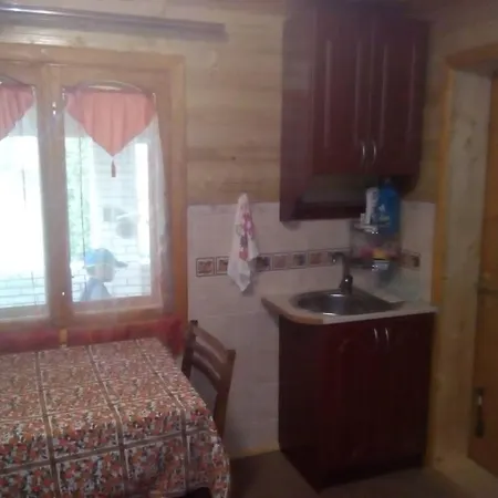 у власія Guest house Putyla