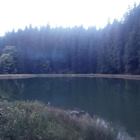 Guest house у власія Putyla