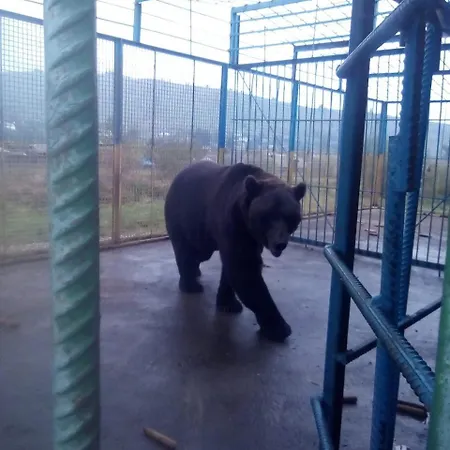 Guest house у власія