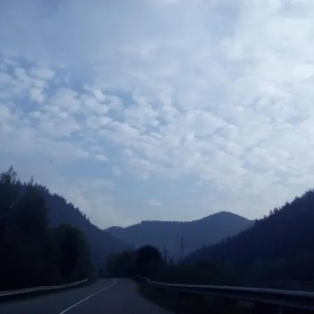 у власія Guest house Putyla