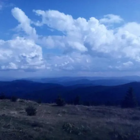 у власія Putyla