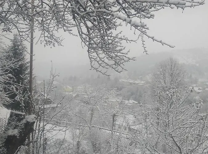 у власія