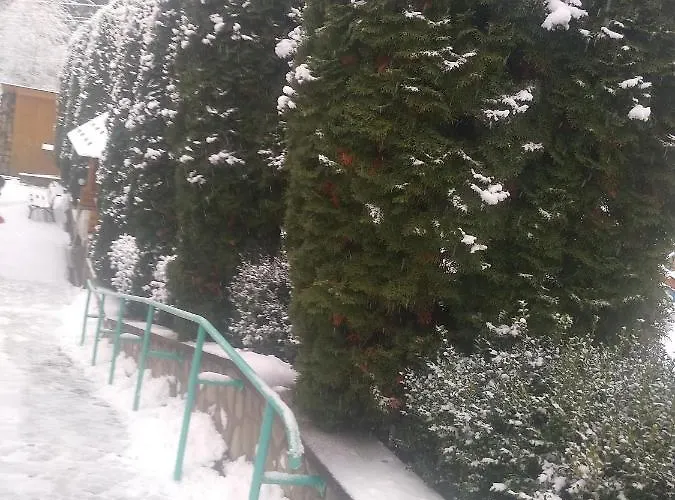 у власія *