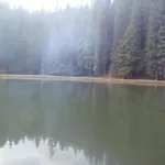у власія * Putyla