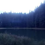 у власія *