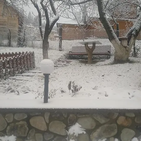 Гостевой дом у власія Putyla