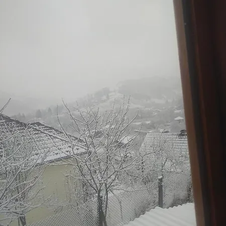 у власія Гостевой дом Putyla