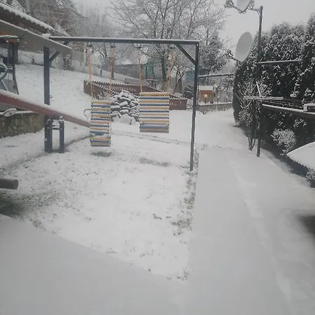 у власія Гостевой дом Putyla