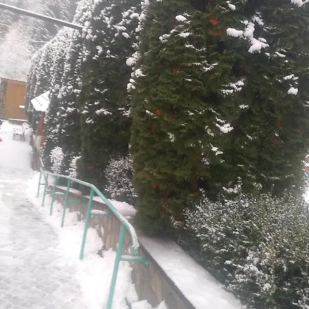 у власія *