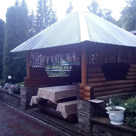 у власія Гостевой дом *
