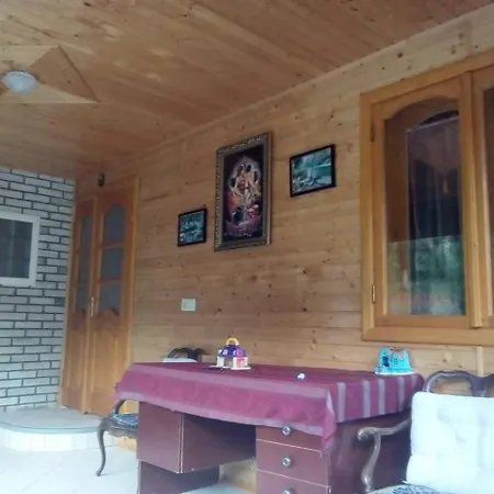 у власія * Putyla