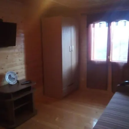 у власія Putyla