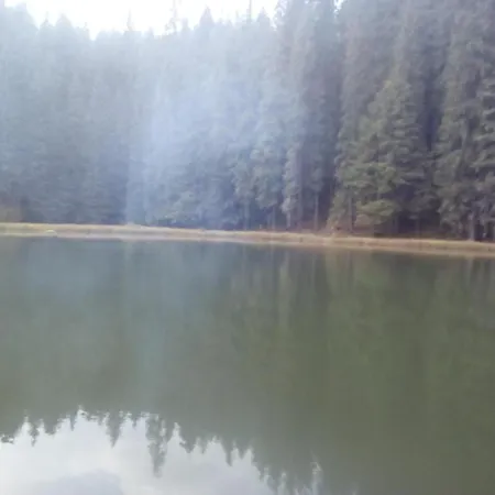 у власія * Putyla