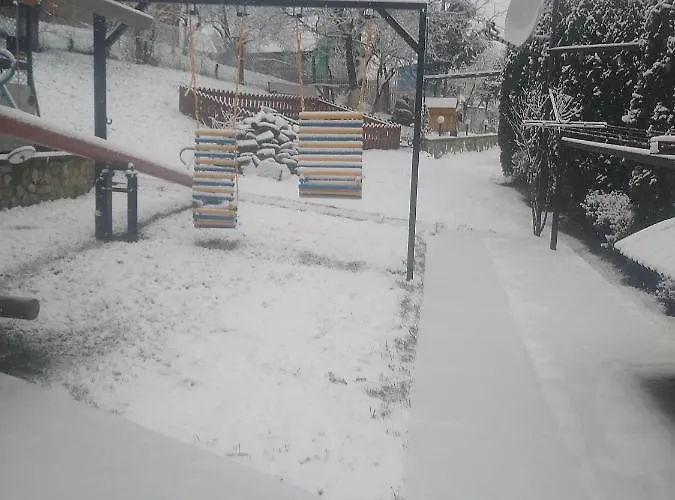 у власія Konukevi Putyla