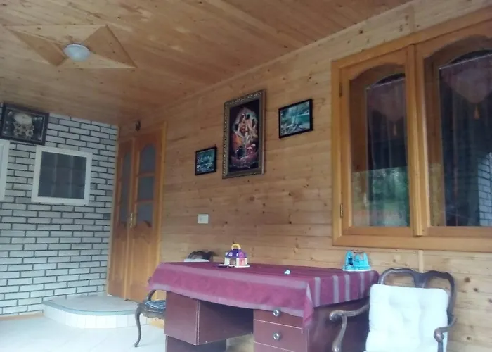 у власія * Putyla