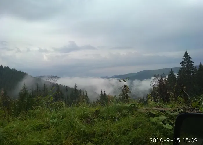 у власія Konukevi *