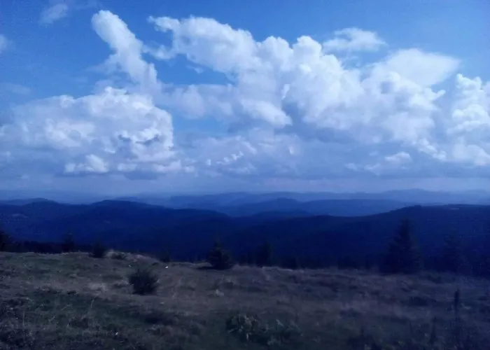 у власія Putyla